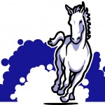 Colts Horse