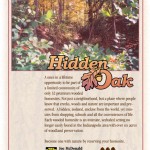 Hidden Oak